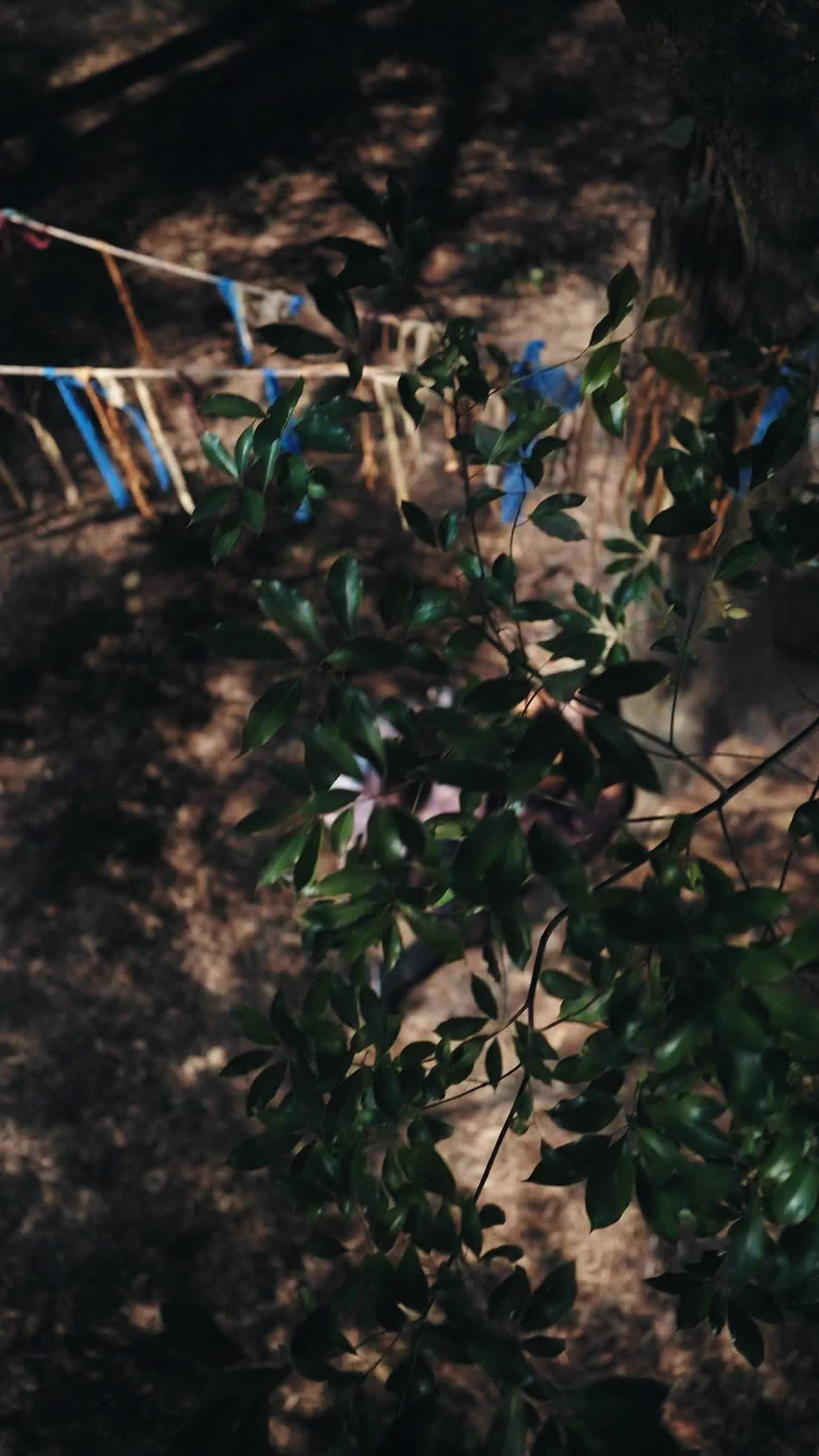 2 серия - Невеста его дяди